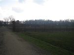 Auschwitz 2011. Teaching staff